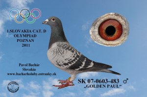 Obrázok