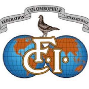 fci-logo-clean.jpg
