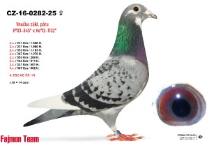 cz-16-0282-25_2.jpg