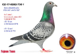 cz-17-0282-730.jpg